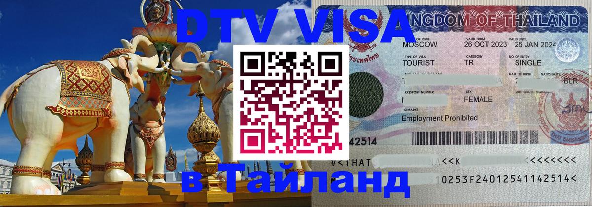 Оформление DTV визы под ключ: стоимость и тарифы, только загранпаспорт - Раменское 